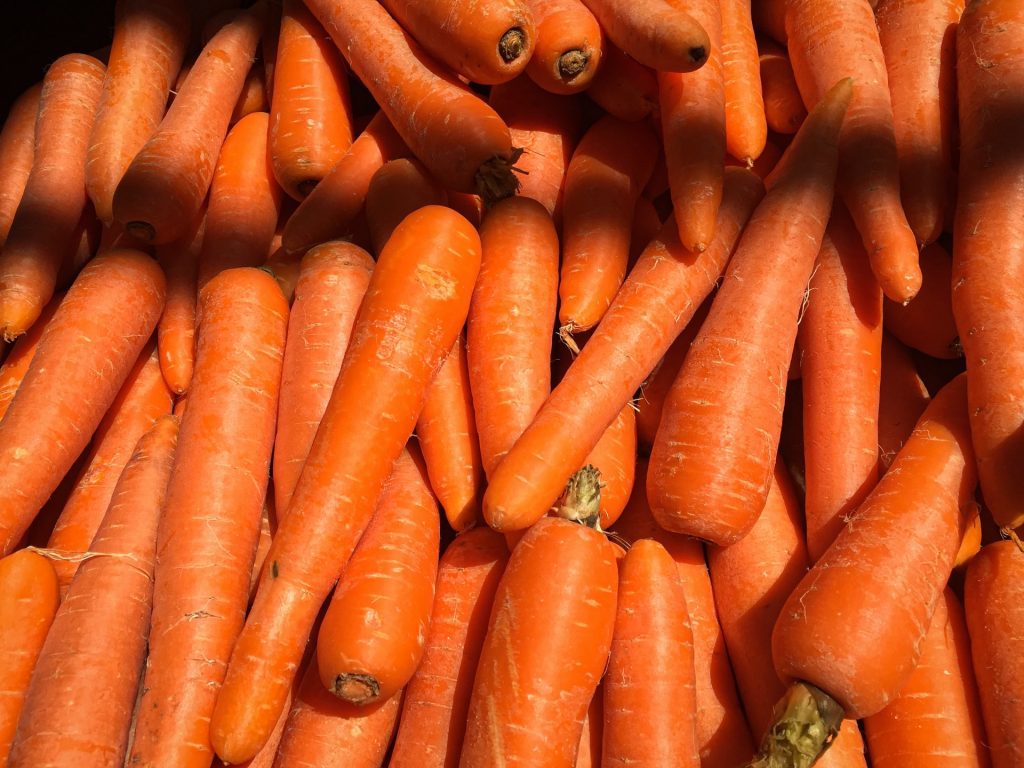 Photo by JACQUELINE BRANDWAYN Carrots Are an Excellent Source of Vitamin A