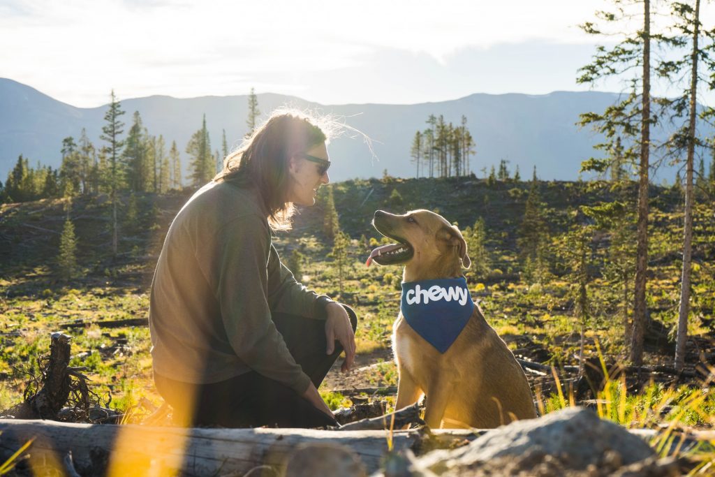 dog training tips-Him What you wish Him to do