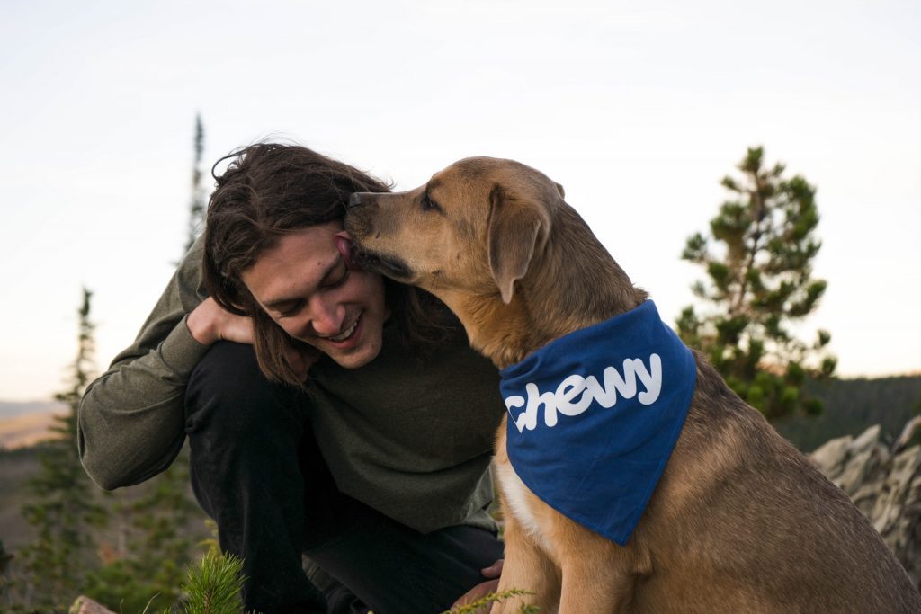 dog training tips - Listen to Your Dog