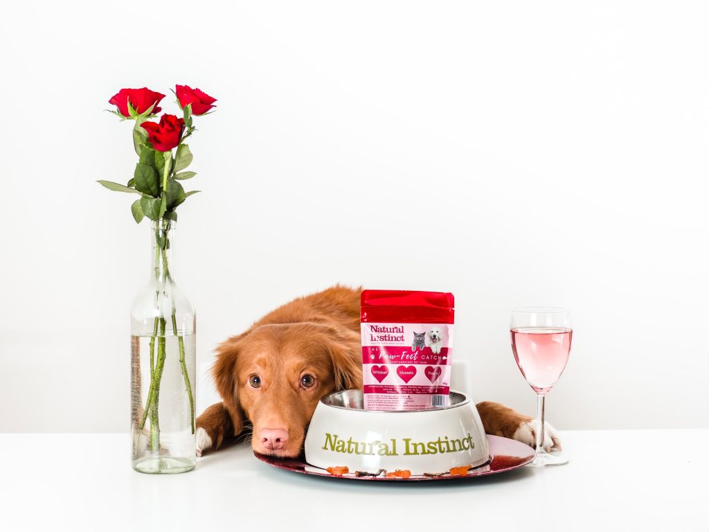 dog training tips - advantages of Feeding a top-quality Food