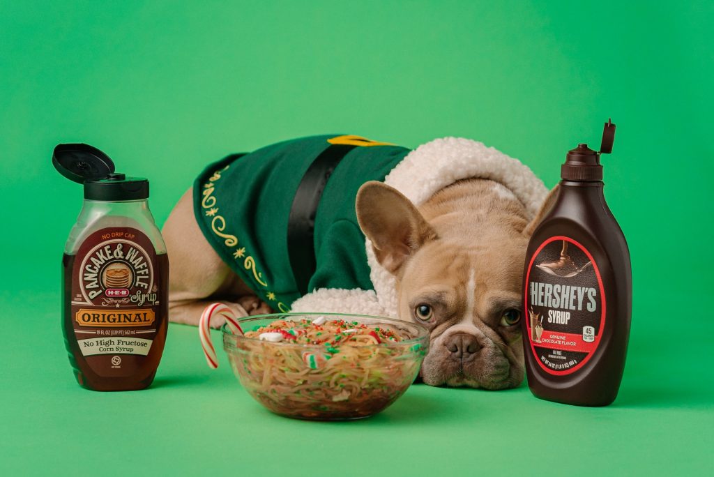 Photo by Karsten Winegeart feeding less help dog live longer