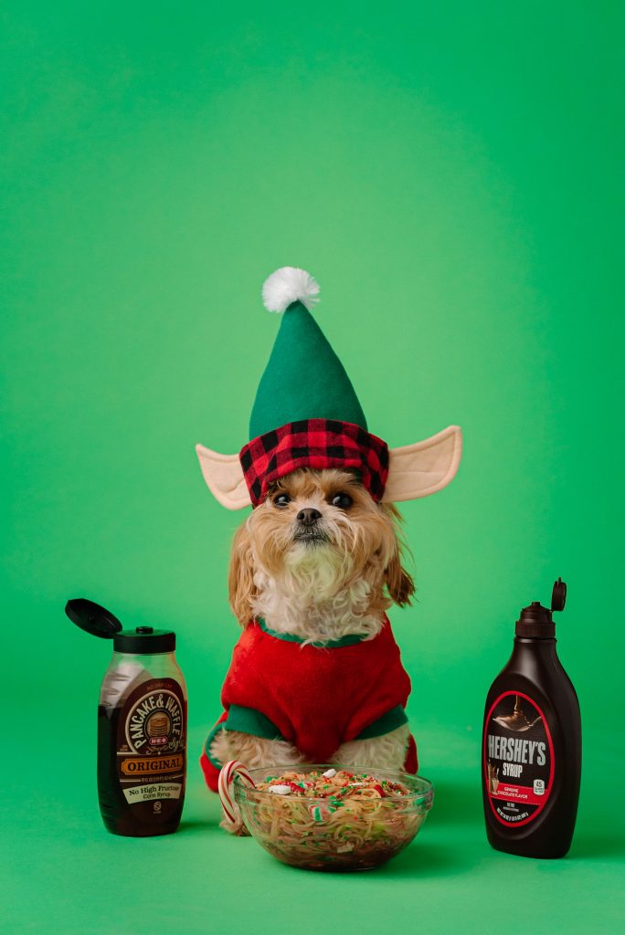 Photo by Karsten Winegeart feeding less help dog live longer - food instruction