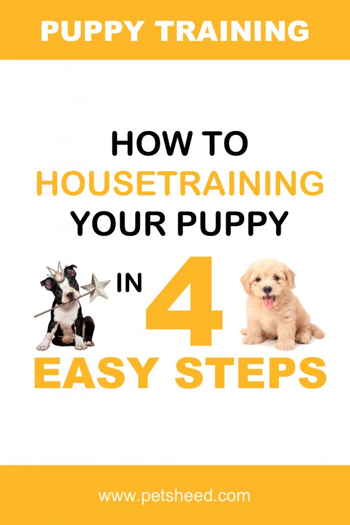 housetraining your puppy