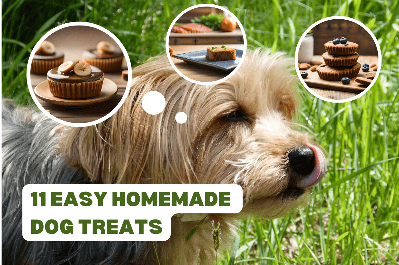 11_easy_homemade_soft_dog_treats