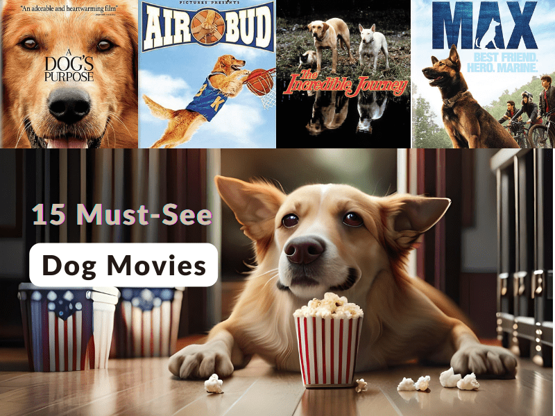 must_see_dog_movies