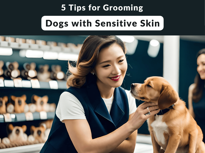 tips_for_grooming_dogs_with_sensitive_skin