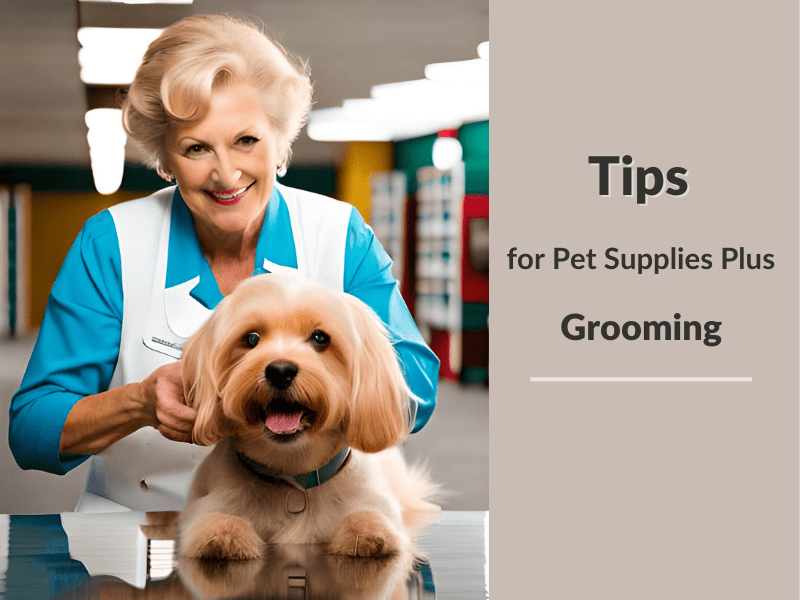 tips_for_pet_supplies_plus_grooming