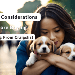 10_considerations_before_buying_a_dog_from_craigslist