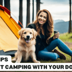 tent_camping_with_dogs
