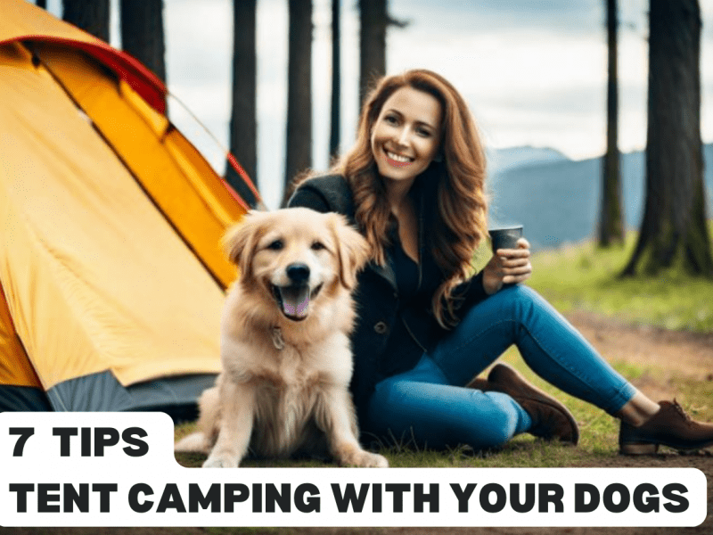 tent_camping_with_dogs